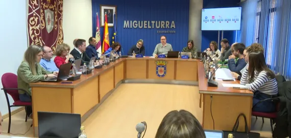 captura_pantalla_pleno_extraordinario_25_marzo_2025