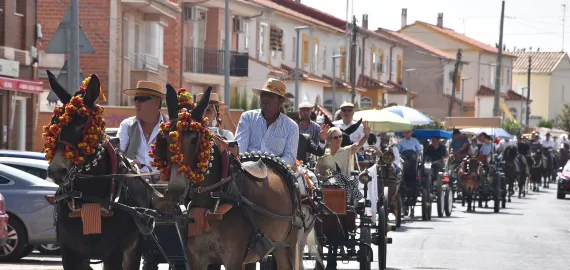noticiapasacallescaballos2025