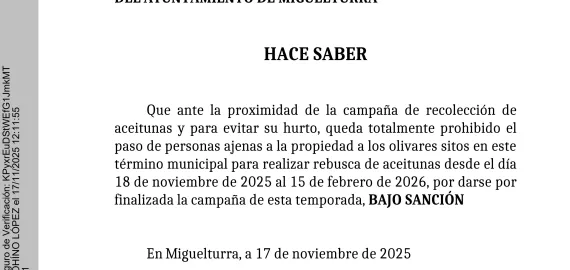 bandocampanaaceituna-aytomiguelturra-18nov2025