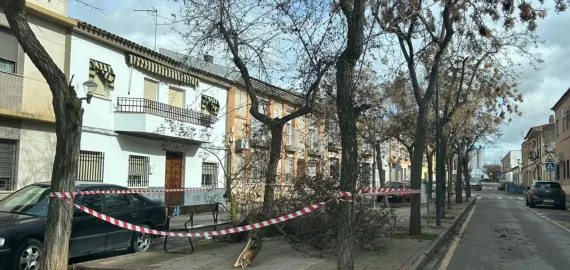 kristin-2026-02-04-noticia