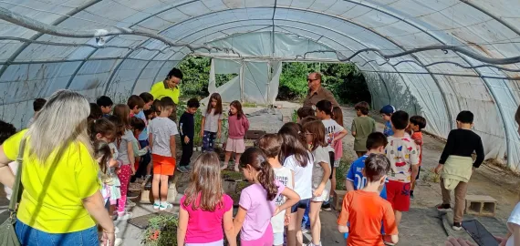 plantas1-2026-05-21-noticia