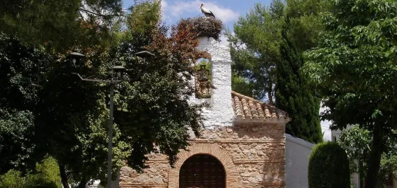 peralvillo junio 2026