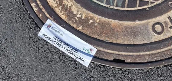 plagas2-2026-08-18-noticia