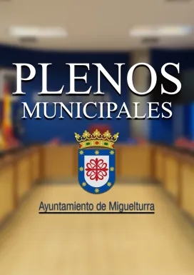 verticalplenosmayo2025