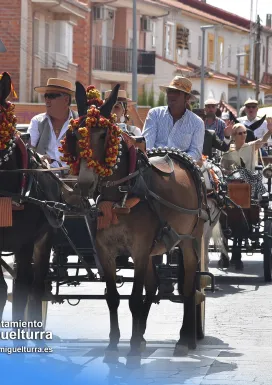 noticiapasacallescaballos2025