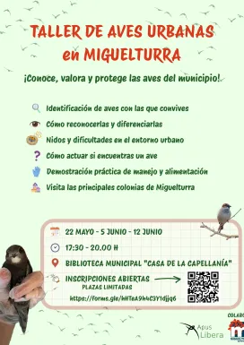 aves-2026-05-20-noticia