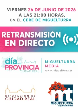 diaprovinciastreaming2026