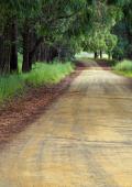 curso imagen de un camino por el campo