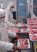 cursos imagen manipulación alimentos