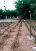 curso imagen huerto del abuelo y la abuela de Miguelturra 2018