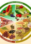 curso imagen relacionada con nutrición