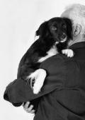 curso imagen de la terapia que aporta una mascota en épocas adultas al ser humano