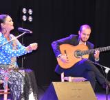 Festival Arte Español y Flamenco Ferias 2022, imagen 1