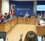 captura_pantalla_pleno_extraordinario_25_marzo_2025