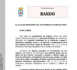 bando-aytomiguelturra-2025-04-25