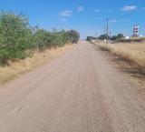 caminosagosto2025-6