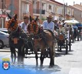 noticiapasacallescaballos2025
