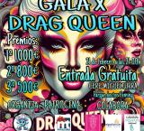 dragqueen-2026-02-05-noticia