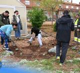diadelarbol-2026-04-09-noticia