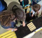 Actividad Nuestras amigas las plantas en Benito Pérez Galdós, Miguelturra abril 2026