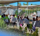plantas1-2026-05-07-noticia