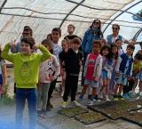 plantas1-2026-05-20-noticia