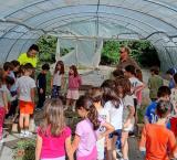 plantas1-2026-05-21-noticia