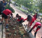 medioambiente-2026-06-09-noticia