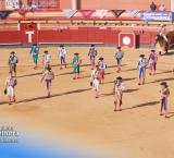 toros1-2026-06-29-noticia