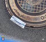 plagas2-2026-08-18-noticia