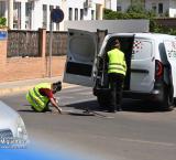 plagas-2026-09-15-noticia
