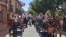 pasacallescaballos-ferias2025-1