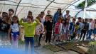plantas1-2026-05-20-noticia