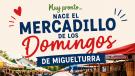 Cartel nuevo Mercadillo de los Domingos, Miguelturra julio 2026