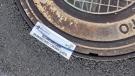 plagas2-2026-08-18-noticia